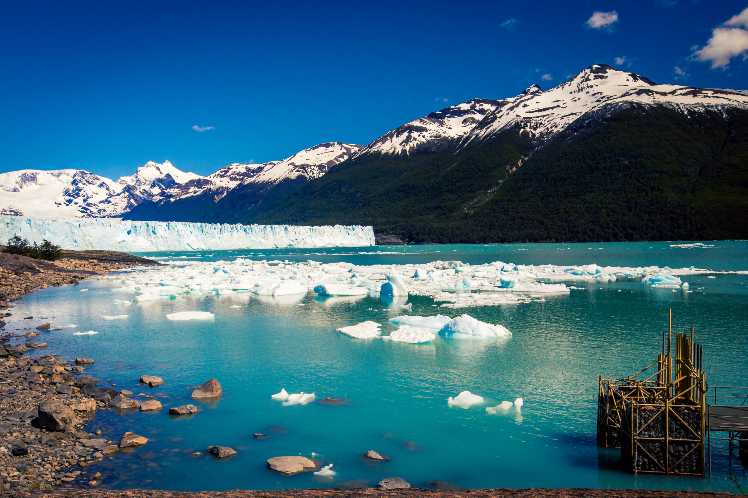 el calafate (3).webp